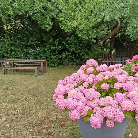 Logis De La Provosterie - Cyclamen Ahuillé